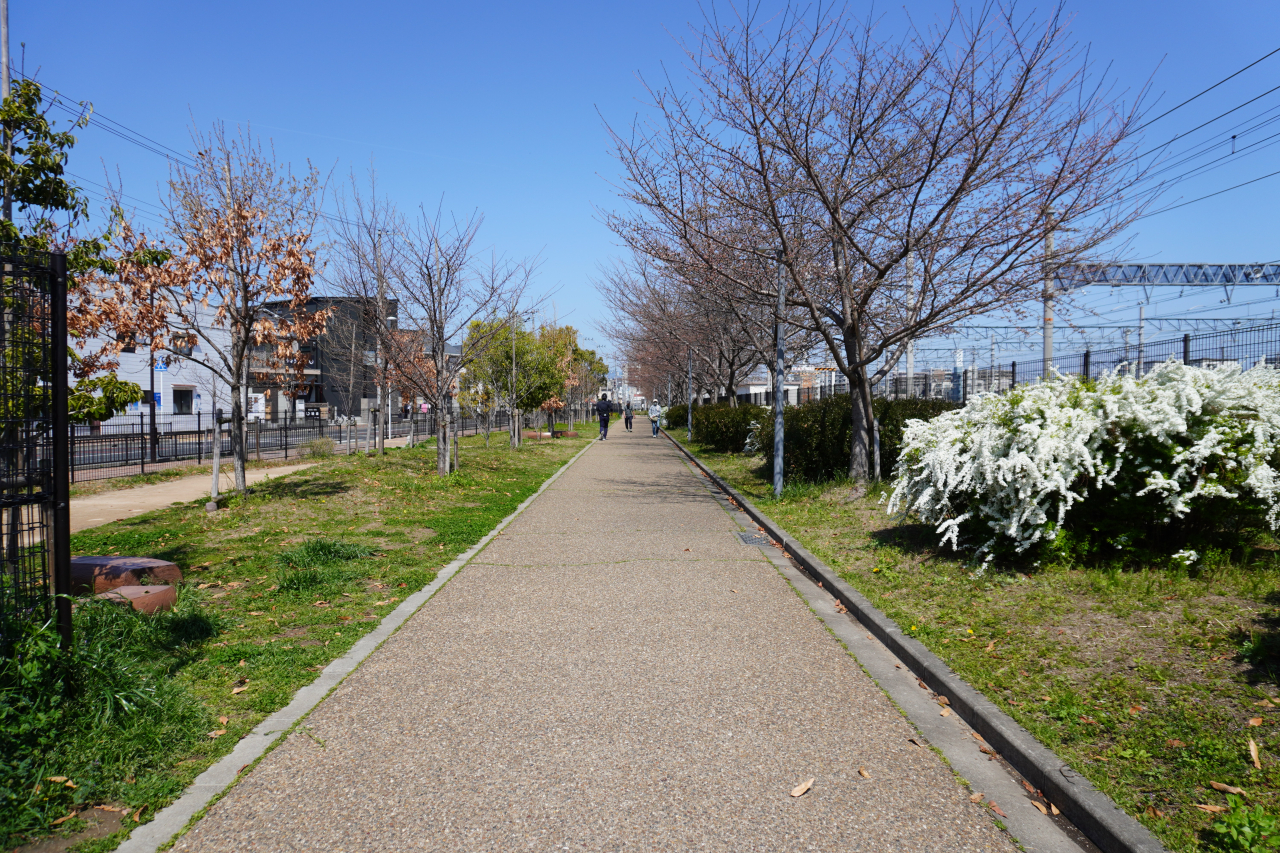 明和池公園